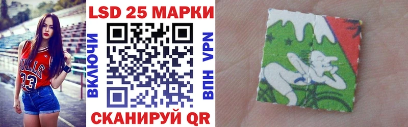 Купить закладки  Каменногорск  Наркотические марки 1,8мг 