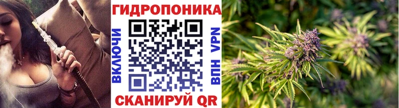 Купить  Каменногорск  Бошки Шишки Bruce Banner 