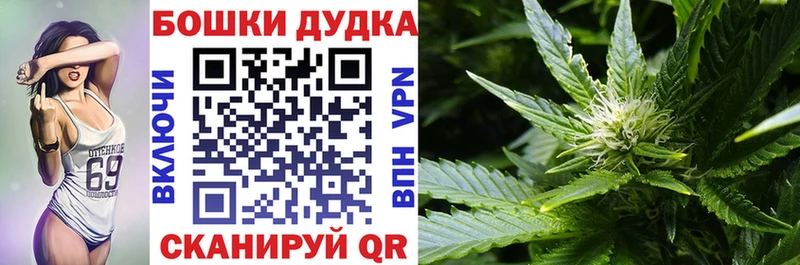 Канабис Bruce Banner Каменногорск